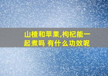 山楂和苹果,枸杞能一起煮吗 有什么功效呢